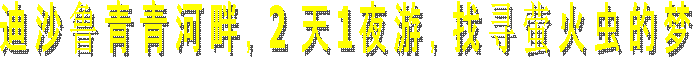 迪沙鲁密柑园2 天1夜游，找寻萤火虫的梦